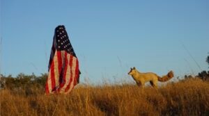 <em>Coyote. I Like America. 2021</em>