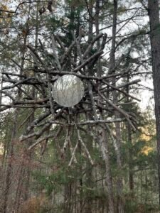 Forest Eye